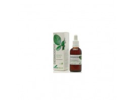 DESMODENS EXTRACTO GLICER.50ML XXI SORIA
