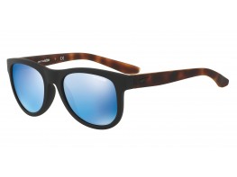 GAFA SOL ARNETTE 4222 227355 54